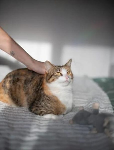 Wendy & Jenny Traumpärchen sucht Traumzuhause