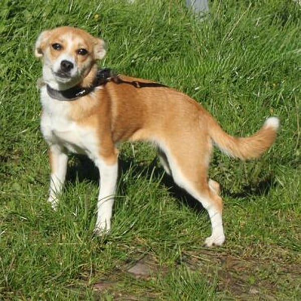 Tini - Herzensfamilie gesucht