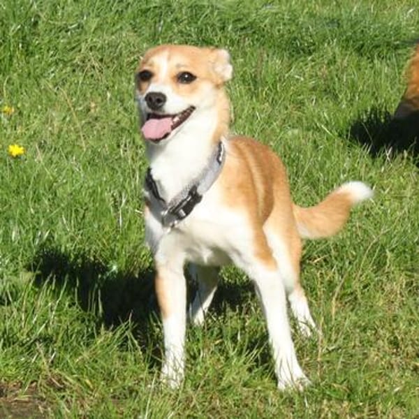 Tini - Herzensfamilie gesucht