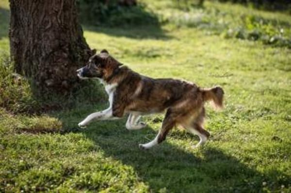 KIBA * Ihre Menschen sind Ihre Welt
