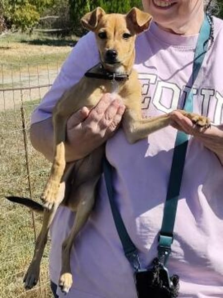 Freja, kleiner Sonnenschein sucht Familie