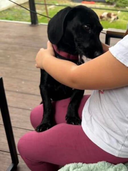Lebensfrohe Suzy sucht ihre eigene Familie