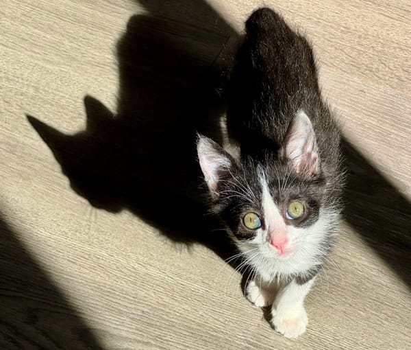 BéBé