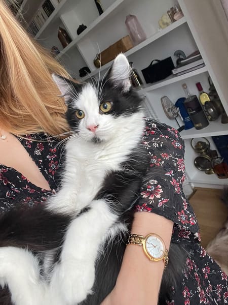 Berlioz