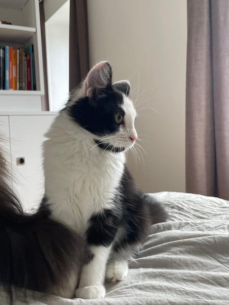 Berlioz