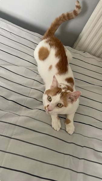 Charlie