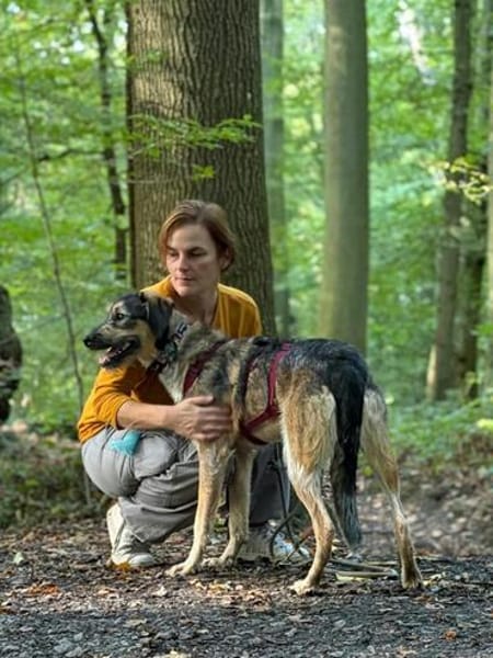 Gaia  kein Hund für große Abenteuer