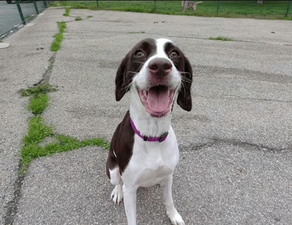 NALA