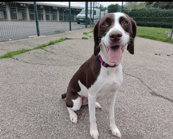 NALA
