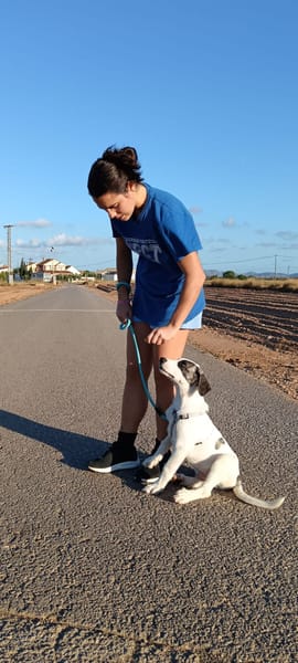 ARES (Martina)