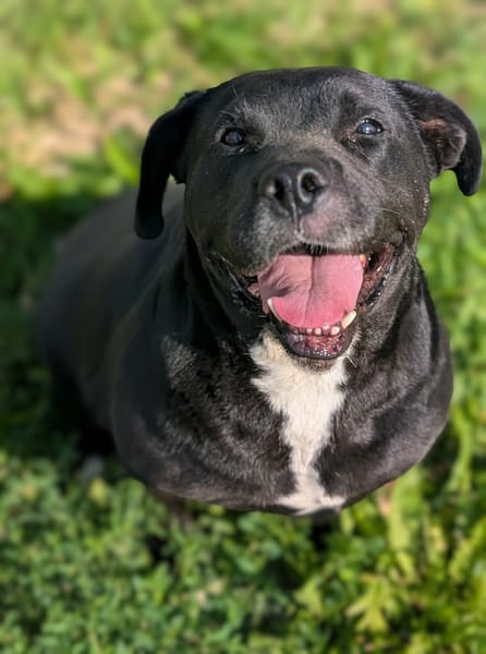 Trudy