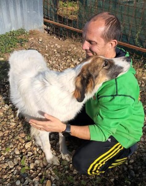 NICA - ganz viel Hund zum lieb haben