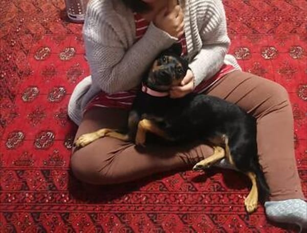 Die liebe Candy sucht ihr Zuhause