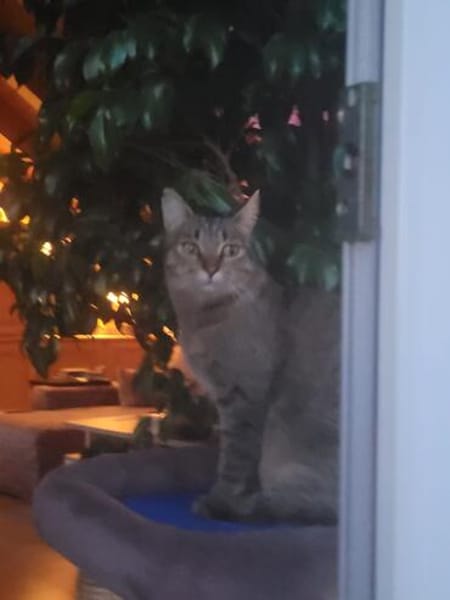 Jacky wartet auf ihr Stück vom Glück
