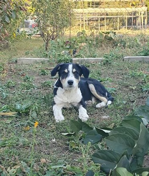 Mia, total verspielt
