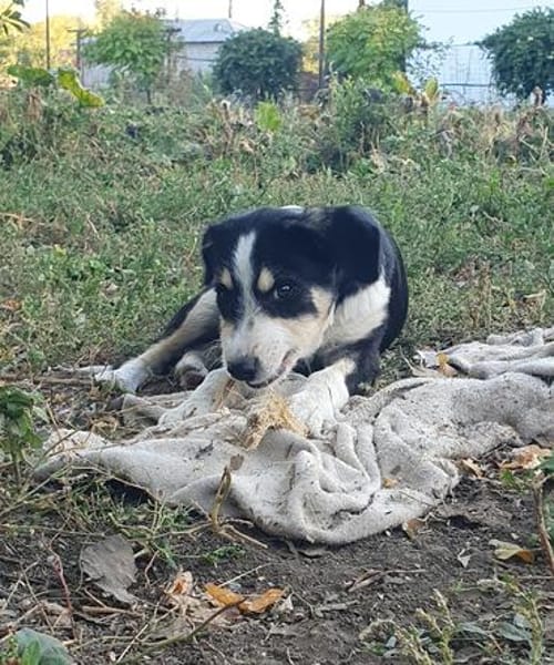Mia, total verspielt