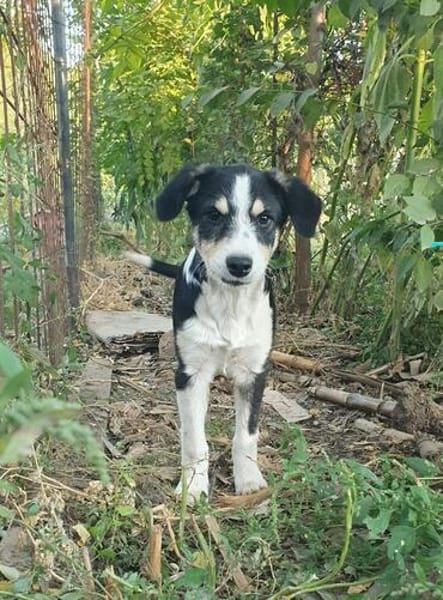 Mia, total verspielt