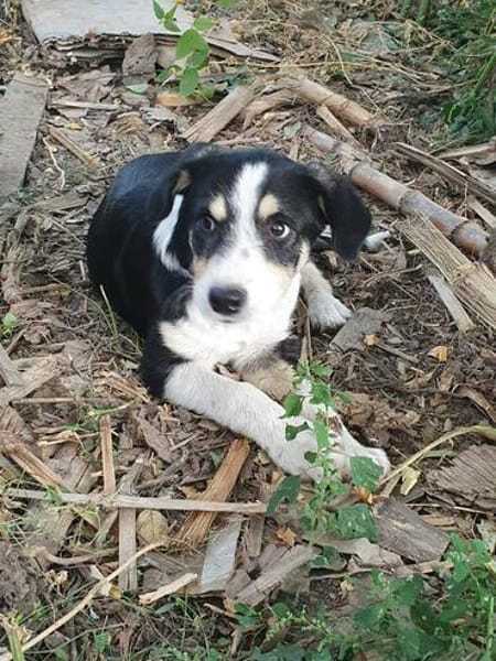 Mia, total verspielt