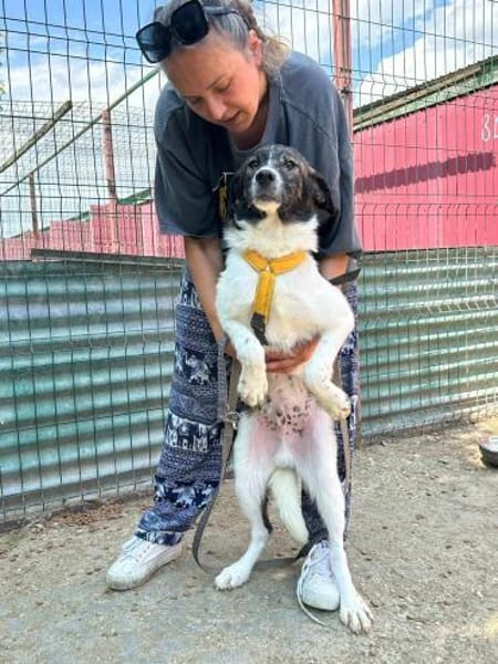Sensibler Gustav sucht ruhiges Zuhause!