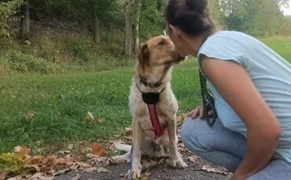 Alisa sucht Menschen mit großem Herz