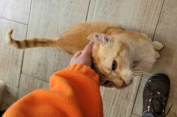 SYLVIO