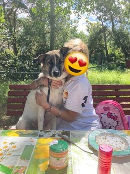 Holly: Treue Begleiterin sucht gemütliches Zuhause!
