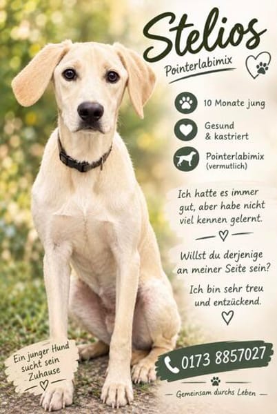 Stelios der smarte und liebe junge Bub /82284