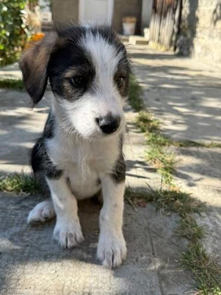 James, jung und noch zu haben