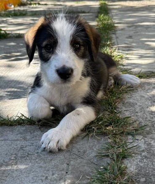 James, jung und noch zu haben