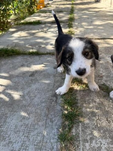 James, jung und noch zu haben