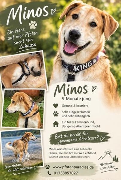 Minos der süße Schatz / PLZ 82284