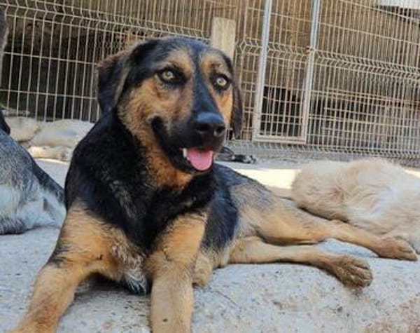 Wundervolle♥Aylini♥wartet 90530 Wendelstein auf ihre Familie