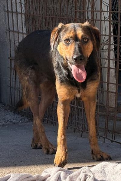 Wundervolle♥Aylini♥wartet 90530 Wendelstein auf ihre Familie