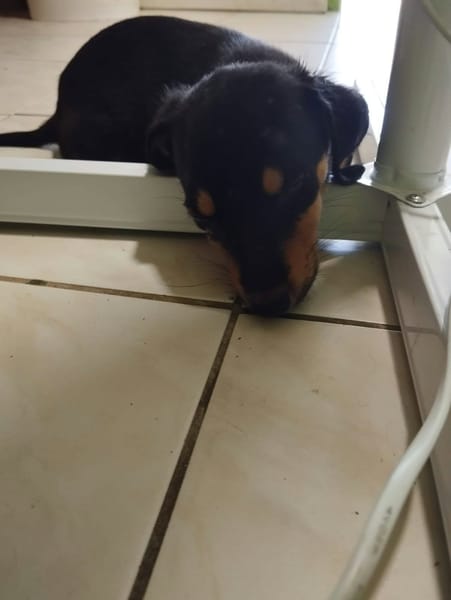 LIA est une merveille