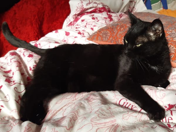 Milo