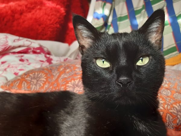 Milo