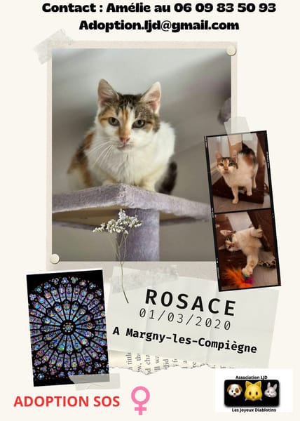 Rosace