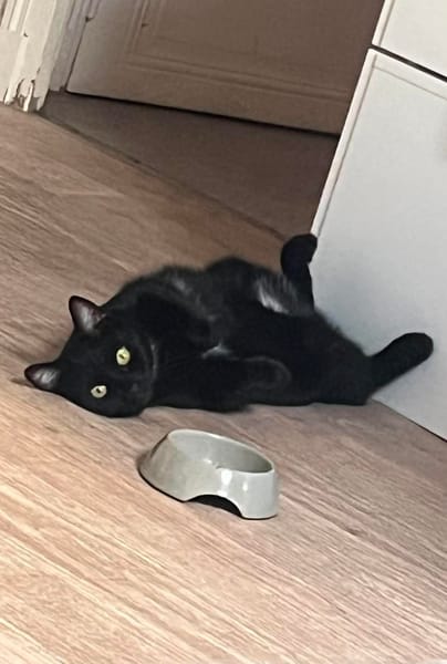 Thriller