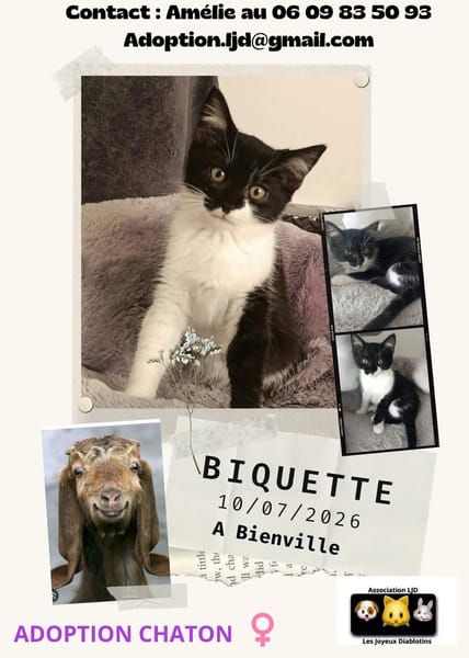 Biquette