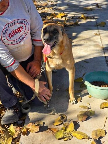 🆘🆘🆘 Ruby in 91616 Neusitz 🆘🆘🆘