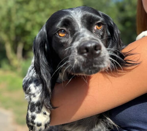 Holly sucht Geborgenheit in ihrer eigenen Familie