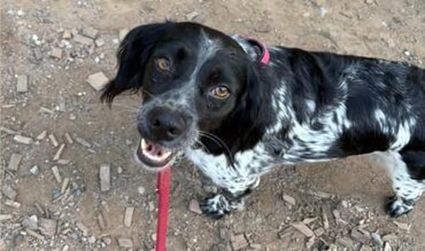 Holly sucht Geborgenheit in ihrer eigenen Familie