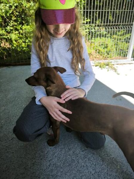 Verschmuster Paquito sucht sein Zuhause