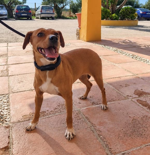 PILI (Maria)