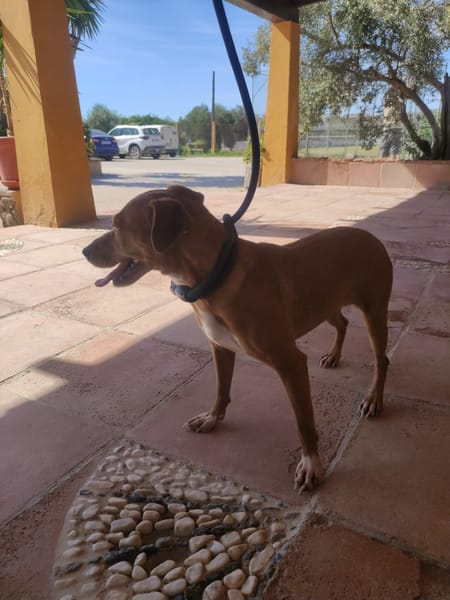 PILI (Maria)