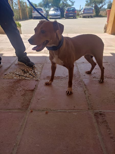 PILI (Maria)