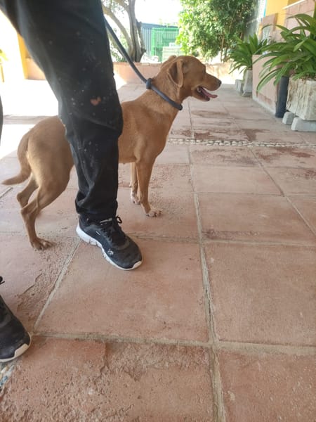 PILI (Maria)