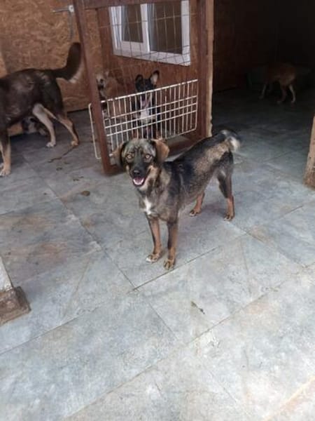 Stina, 40 cm suchen Sicherheit