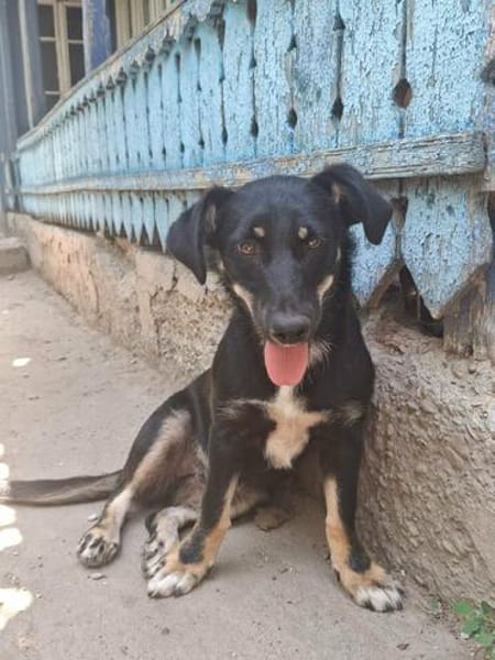 Zahara, sucht Liebe