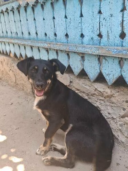 Zahara, sucht Liebe